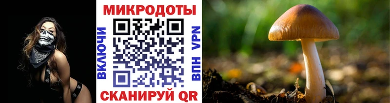 Галлюциногенные грибы мухоморы Нововоронеж