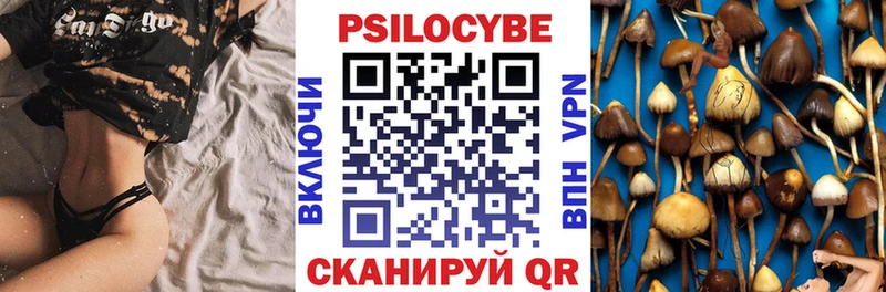 Галлюциногенные грибы ЛСД  omg маркетплейс  Нововоронеж  где продают  